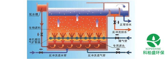 白姐资料一精选资料