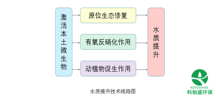 白姐资料一精选资料