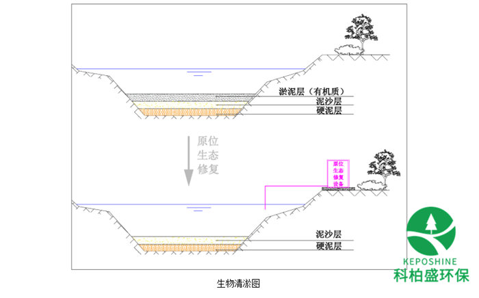 白姐资料一精选资料