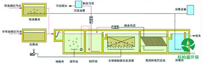 白姐资料一精选资料