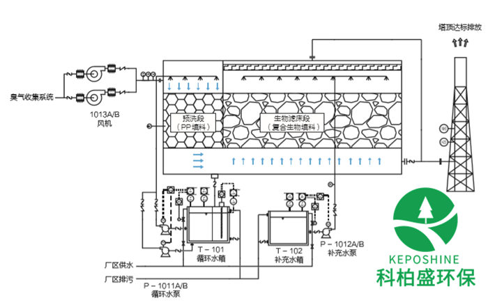 白姐资料一精选资料