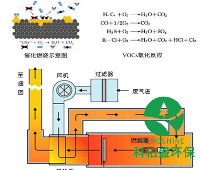 白姐资料一精选资料