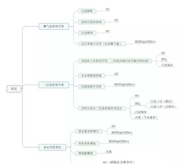 白姐资料一精选资料